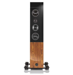 Audio Physic Cardeas Floorstanding Speaker