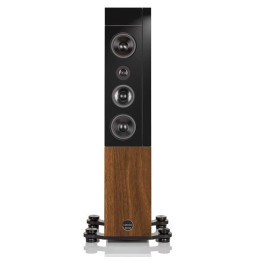 Audio Physic Cardeas Floorstanding Speaker