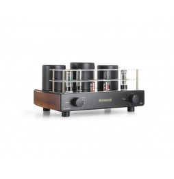 MastersounD Dueventi Integrated Amplifier