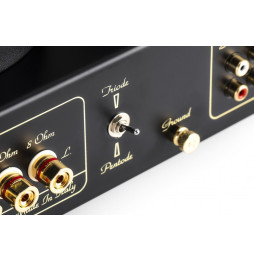 MastersounD Duetrenta Integrated Amplifier