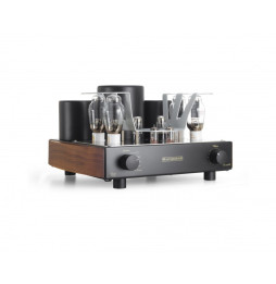 MastersounD Evo 300B Integrated Power Amplifier