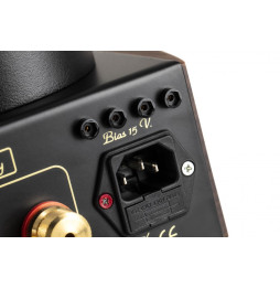 MastersounD Evo 300B Integrated Power Amplifier