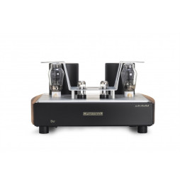 MastersounD Monoblock 300B Power Amplifier