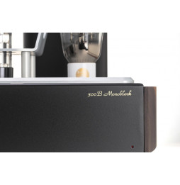 MastersounD Monoblock 300B Power Amplifier