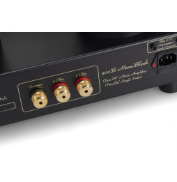 MastersounD Monoblock 300B Power Amplifier