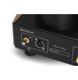 MastersounD Monoblock 300B Power Amplifier