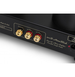 MastersounD Monoblock 300B Power Amplifier