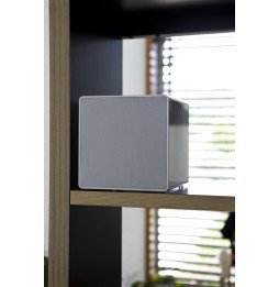 Laboratorio Audio R20 Architectural Bookshelf Speaker