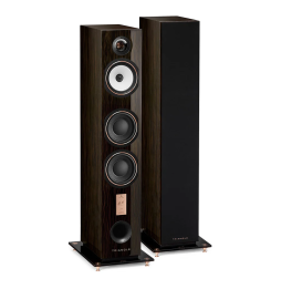 Triangle Esprit Antal 40th Floorstanding Speaker