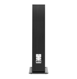Triangle Esprit Antal Ez Floorstanding Speaker