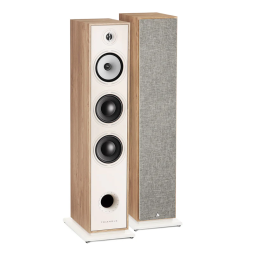 Triangle Borea BR08 Floorstanding Speaker