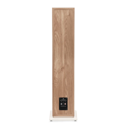 Triangle Borea BR08 Floorstanding Speaker
