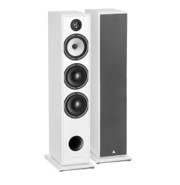 Triangle Borea BR08 Floorstanding Speaker
