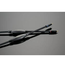 Transparent Reference Phono Interconnect
