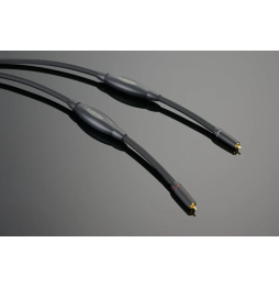 Transparent Super Phono Interconnect