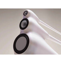 B&W Nautilus Speaker