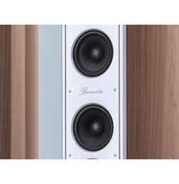 Burmester BA71 Floorstanding Speakers