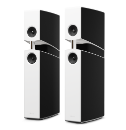 Burmester BX100 Floorstanding Speakers