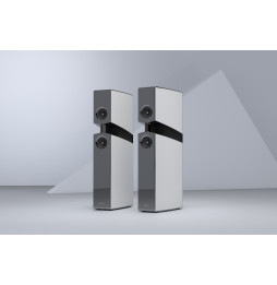Burmester BX100 Floorstanding Speakers