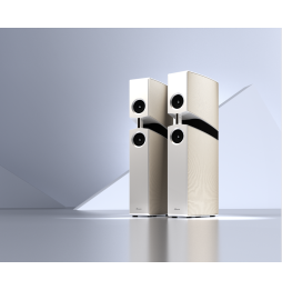 Burmester BX100 Floorstanding Speakers