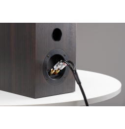 Pro-Ject Connect It LS S Speaker Cable (Pair)