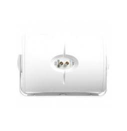Definitive Technology AW5500 Outdoor Speakers