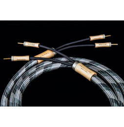 Divini Audio Trans 5/2 Speaker Cable