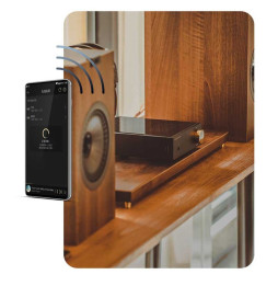 Shanling EA5 Desktop Streamer Amplifier